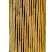 天然竹支柱　女竹　3分×2.0ｍ　300本/束